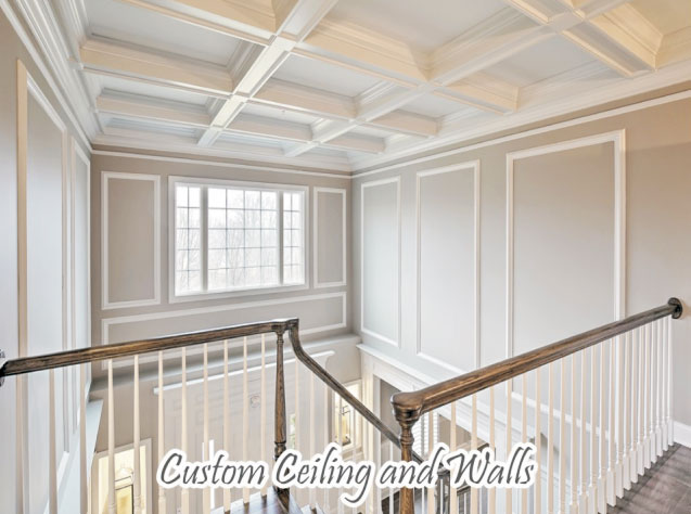 custom celling and walls